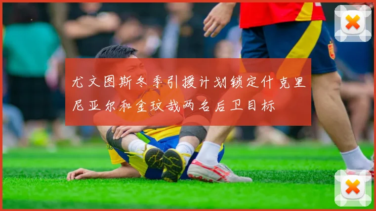 尤文图斯冬季引援计划锁定什克里尼亚尔和金玟哉两名后卫目标