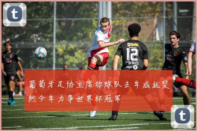 葡萄牙足协主席称球队去年成就斐然今年力争世界杯冠军
