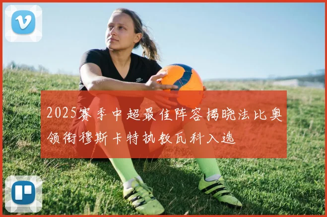 2025赛季中超最佳阵容揭晓法比奥领衔穆斯卡特执教瓦科入选