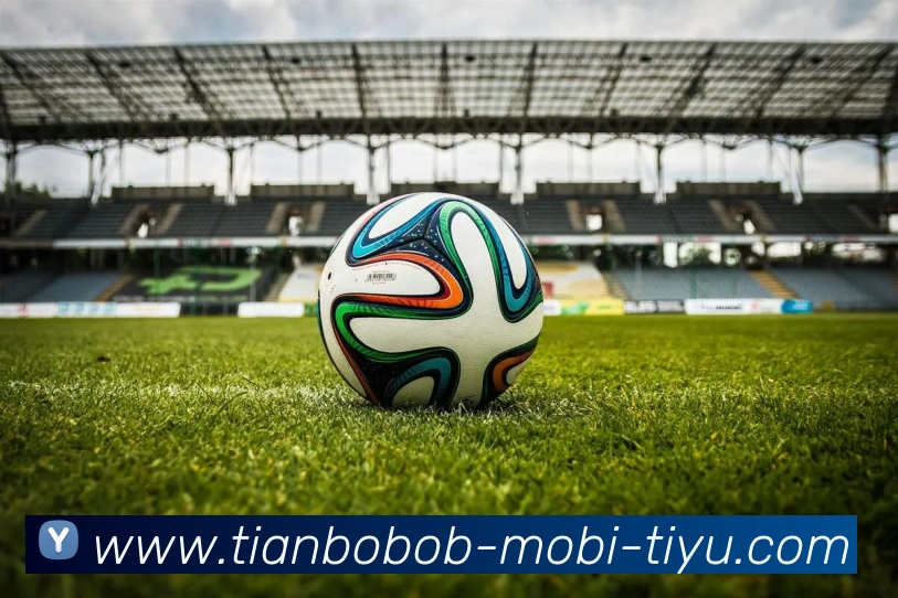 App Interface Preview