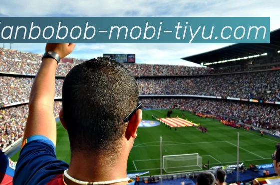 BOB体育APP 封面图